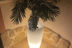IMG_3085-scaled